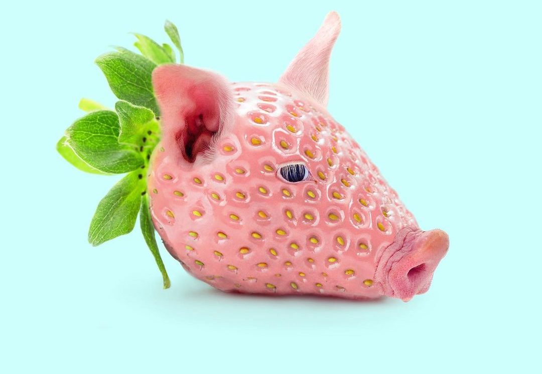 Digital Artists Make Food Resemble Animals - https://everydaymonkey.com