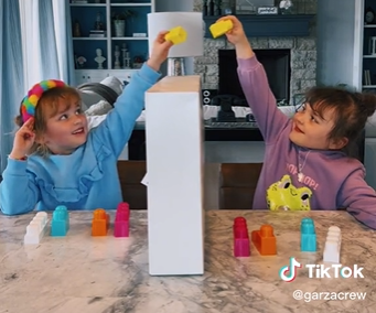 Viral TikTok Video Shows That Twin Telepathy is Real - https