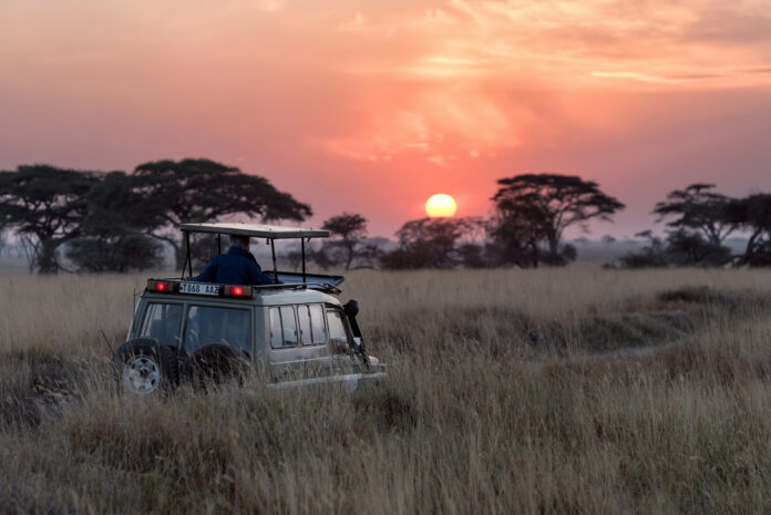 Tanzania, Madagascar, Costa Rica 2025 travel destinations