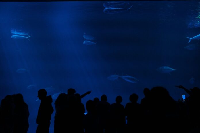 Monterey Bay Aquarium social impact study