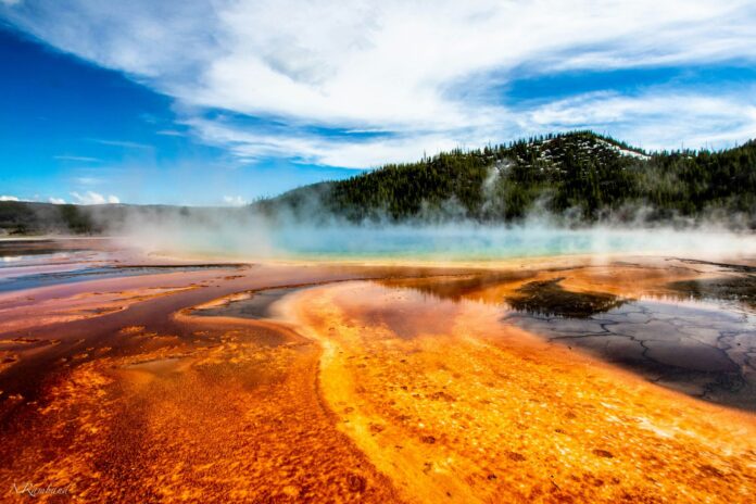 new volcanic vent Yellowstone National Park